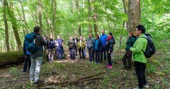 Erholung und Inspiration im WaldResort - Am Nationalpark (Foto: Christopher Schmid)